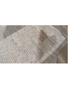 AM12097
