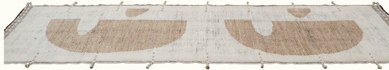 AM12229