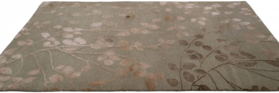 AM11281