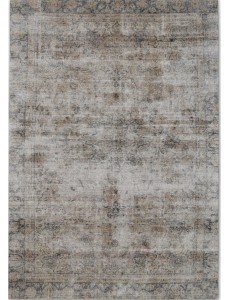 AM10677