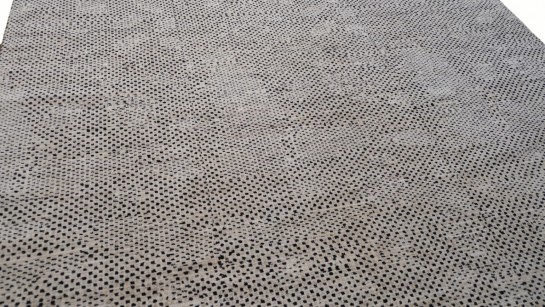 AM11619