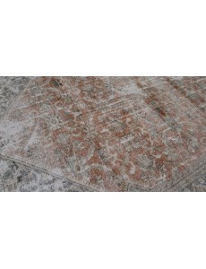 AM11664